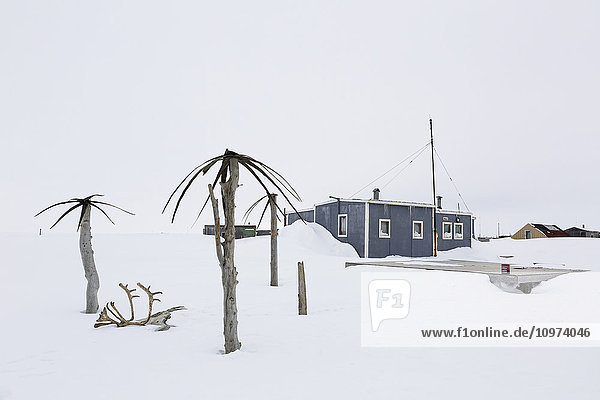 Behelfsmäßige Palmen in Schneebänken vor einem Haus in Barrow  North Slope  Arctic Alaska  USA  Winter