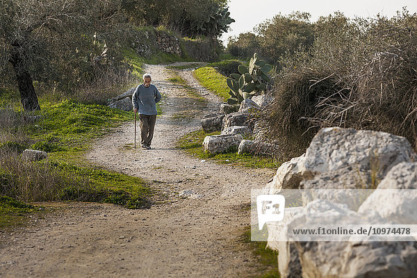 'Senior man walking an a dirt path; Sabasita  Samaria  Israel'
