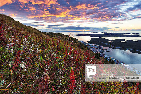 Herbstliche Aussicht auf Kodiak von einem bunten Hügel bei Sonnenuntergang  Südwest-Alaska