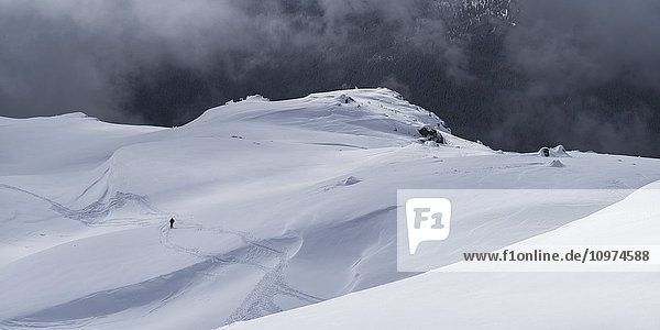 Ein einsamer Skifahrer auf einer verschneiten Wiese; Whistler  British Columbia  Kanada