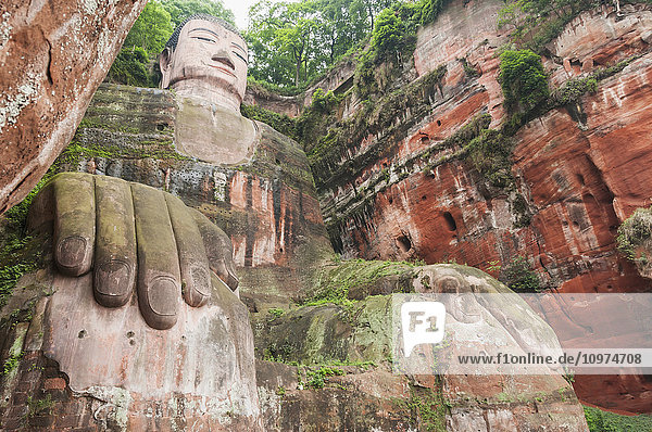 'Giant Buddha from Leshan the largest stone statue of Buddha around the world 71 metres tall; Sichuan province China'