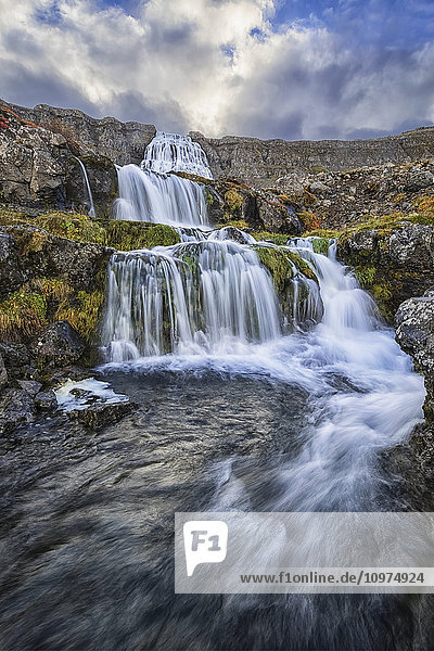 Dynjandi ist einer der größten Wasserfälle in Island  der aus sieben verschiedenen Wasserfällen besteht  die auf ihrem Weg zum Atlantik über Kaskaden hinunterfließen.