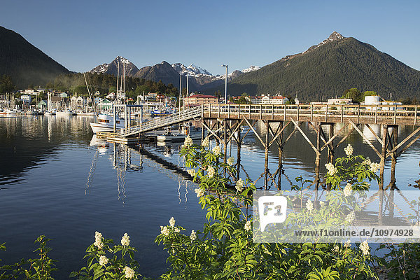 Panoramablick auf den Pier im Hafen von Sitka und die Berge im Hintergrund  Südost-Alaska  USA  Sommer