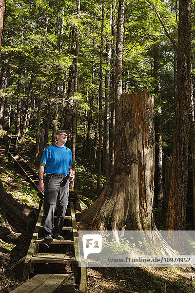Mann beim Wandern auf dem Gavin Hill Trail im borealen Regenwald  Sitka  Südost-Alaska  USA  Sommer