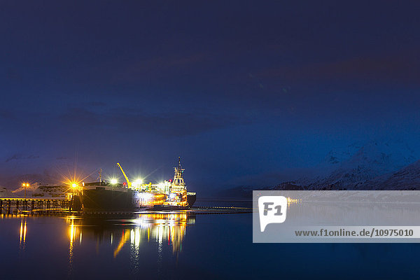A large ship sits docked in Valdez at night  Southcentral Alaska