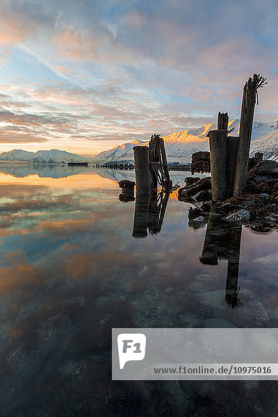 Pfahlreste der Docks von Old Valdez bei Ebbe und Sonnenuntergang  Southcentral Alaska  Winter