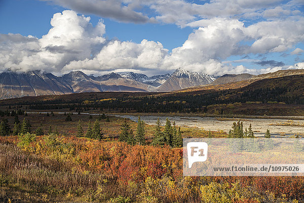 Herbstfarben entlang des Haines Highway  Alaska Highway  British Columbia  Nadahani Creek  Mt. Kelsall.