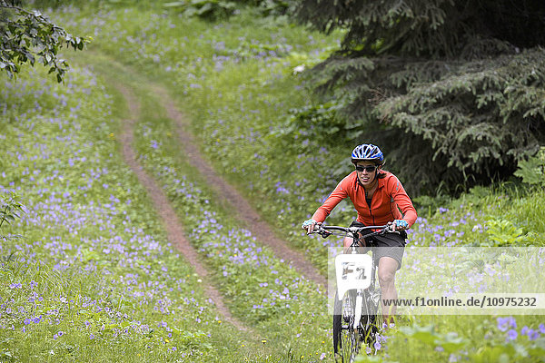 Woman mountain biker rides through a field of wild geraniums at Kincaid Park in Anchorage  Alaska