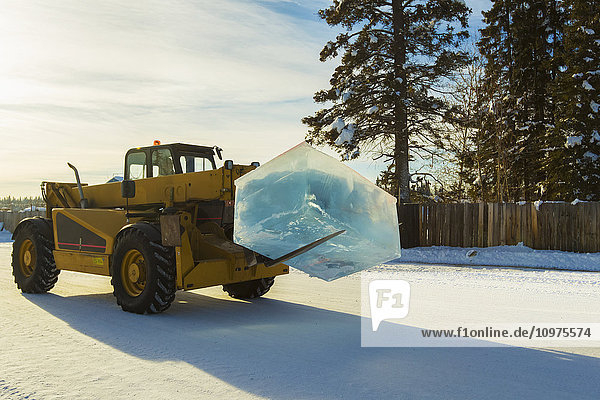 Aus einem Teich geschnittene Eisblöcke werden transportiert und für die BP World Ice Art Championships verwendet  Fairbanks  Inneralaska  Winter