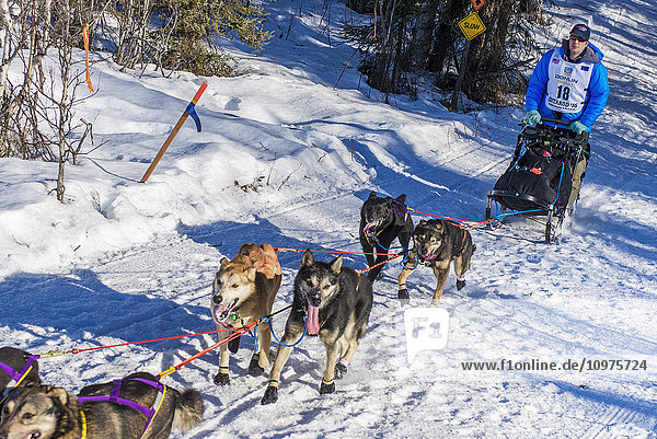 Ray Redington Jr. and team run down the trail on Long Lake shortly after leaving the re-start in Willow  Alaska during the 2016 Iditarod