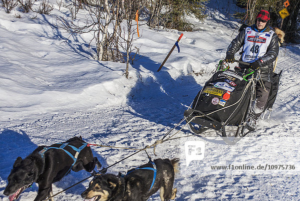 Martin Buser and team run down the trail on Long Lake shortly after leaving the re-start in Willow  Alaska during the 2016 Iditarod