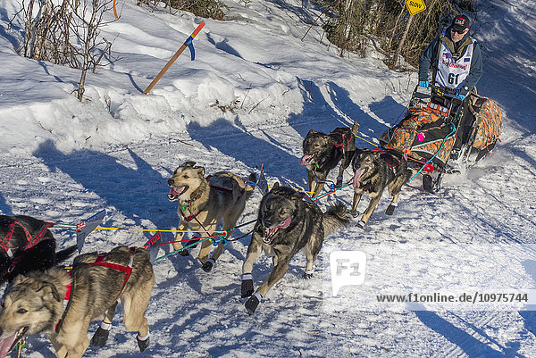 Jeff King and team run down the trail on Long Lake shortly after leaving the re-start in Willow  Alaska during the 2016 Iditarod