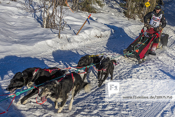 Lance Mackey und sein Team laufen den Trail am Long Lake hinunter  kurz nachdem sie den Neustart in Willow  Alaska  während des Iditarod 2016 verlassen haben.