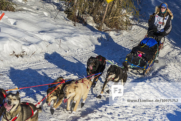 Kristy Berington and team run down the trail on Long Lake shortly after leaving the re-start in Willow  Alaska during the 2016 Iditarod