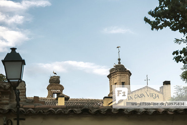 'Downtown Alcala de Henares a historical and charming city near to Madrid; Alcala de Henares Madrid Spain'