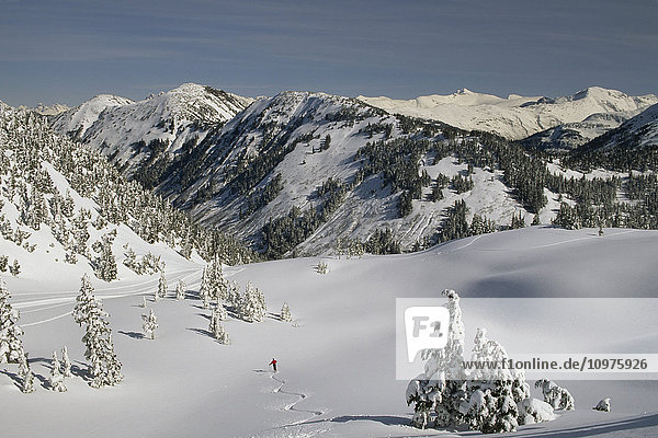 Eaglecrest Ski Area Juneau Downhill Powder Skiing Ak Southeast Winter Scenic Snow