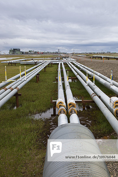 Ölpipelines mit Gathering Center 1 (Gc1) im Prudhoe Bay Ölfeld  North Slope  Arctic Alaska  Sommer