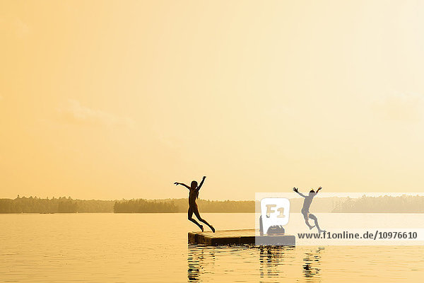 Kinder springen von einem schwimmenden Steg auf dem Crystal Lake; Ontario  Kanada'.
