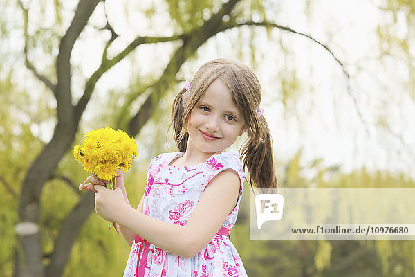 'Young girl holding bunch of dandelion flowers; Toronto  Ontario  Canada'