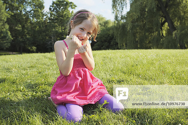 'Young girl collecting wildflowers in a park; Toronto  Ontario  Canada'