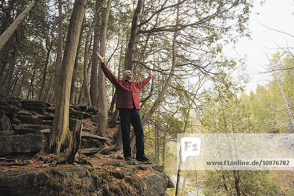 Mann steht mit erhobenen Armen am Waldrand; Milton  Ontario  Kanada'.
