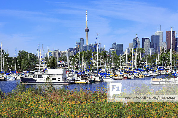 Boote im Hafen von Leslie Spit; Toronto  Ontario  Kanada'.