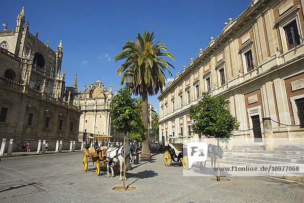 Pferd und Kutsche vor der Kathedrale von Sevilla; Sevilla  Spanien'.