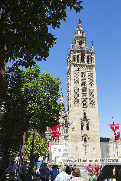 Der Glockenturm der Giralda  Teil der Kathedrale von Sevilla; Sevilla  Spanien'.