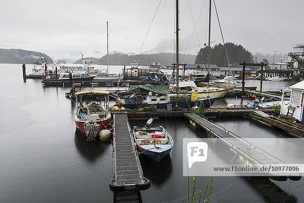 Boote im Nebel am Hafen; Tofino  Vancouver Island  British Columbia  Kanada'.