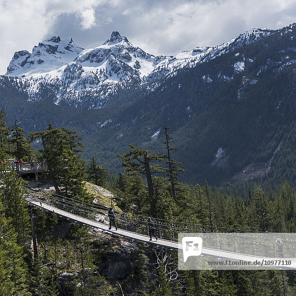 Fußgängerbrücke zum Aussichtspunkt über die Coast Mountains; Squamish  British Columbia  Kanada'.