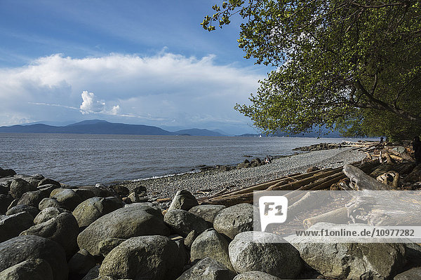 'Wreck Beach along the Foreshore Trail; Vancouver  British Columbia  Canada'
