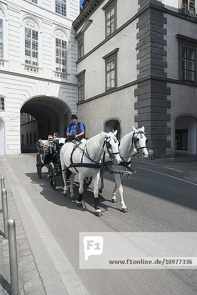 Pferdekutsche; Wien  Österreich'.
