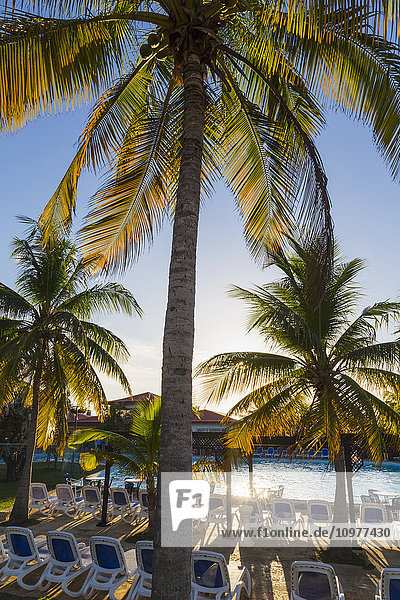 Die Sonne geht hinter Palmen unter  die den Pool und die Liegestühle in einem Resort in Kuba umrahmen; Varadero  Kuba'.