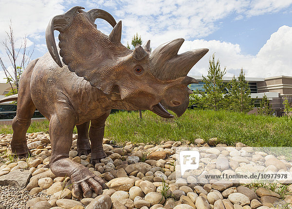 Dinosaurier-Skulptur im Außenbereich des Royal Tyrell Museum of Palaeontology; Drumheller  Alberta  Kanada