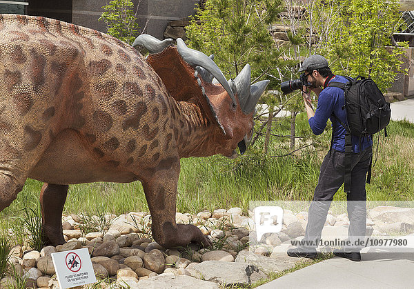 Mann fotografiert eine Dinosaurier-Skulptur im Freien im Royal Tyrell Museum of Palaeontology; Drumheller  Alberta  Kanada'.