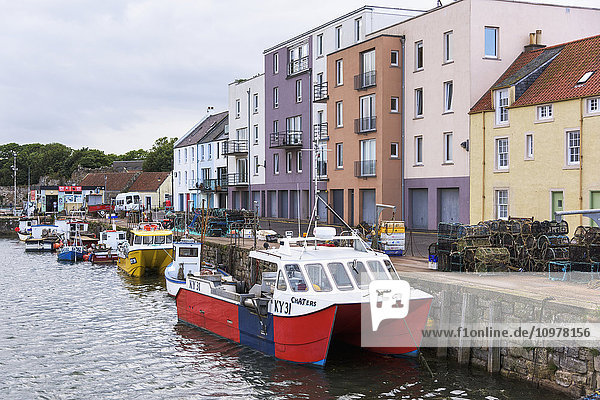 Bunte Gebäude am Wasser und Fischerboote im Hafen von St. Andrews; St. Andrews  Fife  Schottland'.