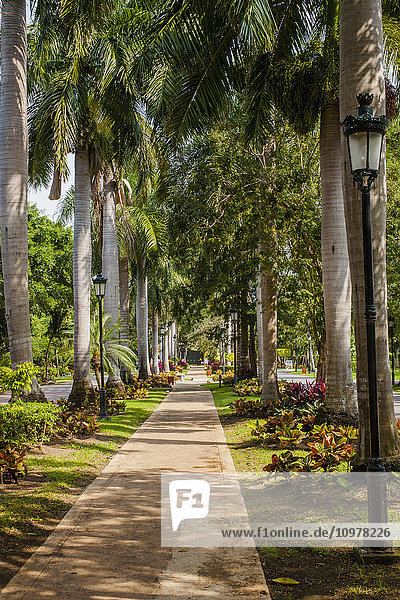 'Path lined with palm trees and lamp posts; Playa del Carman  Quintana Roo  Mexico'