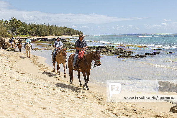 'A group of tourists riding horses on the beach; Poipu  Kauai  Hawaii  United States of America'