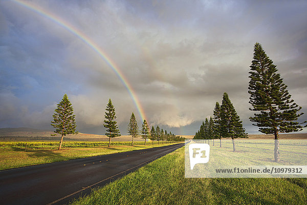 Ein dramatischer Regenbogen auf der Manele Road; Lanai  Hawaii  Vereinigte Staaten von Amerika'.