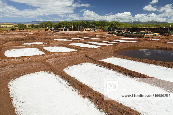 'Salt collection ponds near Hanapepe; Kauai  Hawaii  United States of America'