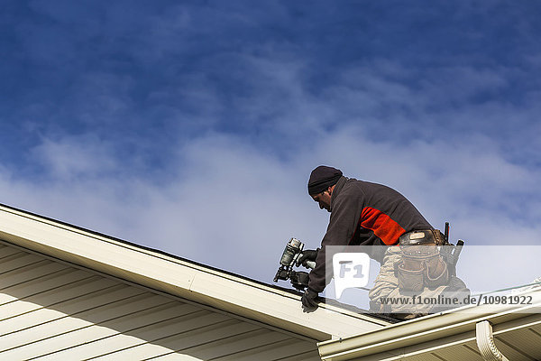 Männlicher Dachdecker mit Druckluftnagler auf dem Dach nagelt neue Schindeln mit Wolken und blauem Himmel; Calgary  Alberta  Kanada'.