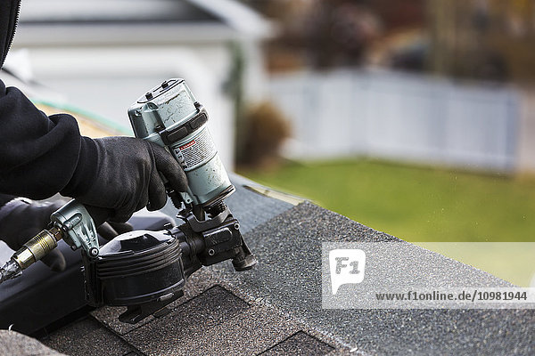 'Close up of air nailer  with male roofer nailing new shingles on top of roof with neighbourhood garage and yard in the background; Calgary  Alberta  Canada'
