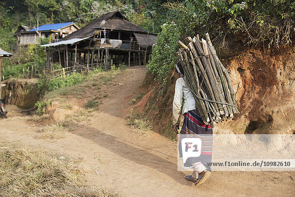 Eine Loi-Frau trägt Holz für ihr Kochfeuer  das sie mit einem Band um die Stirn balanciert  mit einem Langhaus im Hintergrund