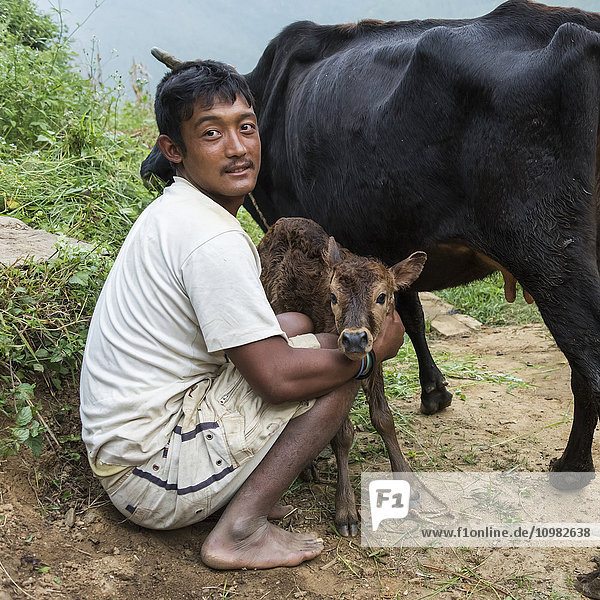 Ein Mann mit einer Kuh und einem Kalb am Rande einer unbefestigten Straße; Punakha  Bhutan'.