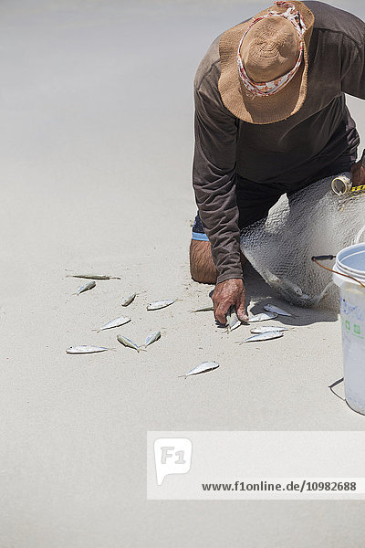 Ein kubanischer Mann sammelt seine gefangenen Fische im Sand am Strand ein; Varadero  Kuba
