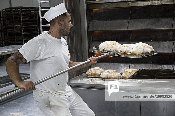 Bäcker  der frisch gebackenes Brot aus dem Ofen einer Bäckerei holt.