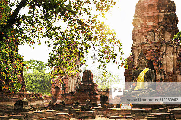 Thailand,  Ayutthaya,  Wat Mahathat im Historischen Park