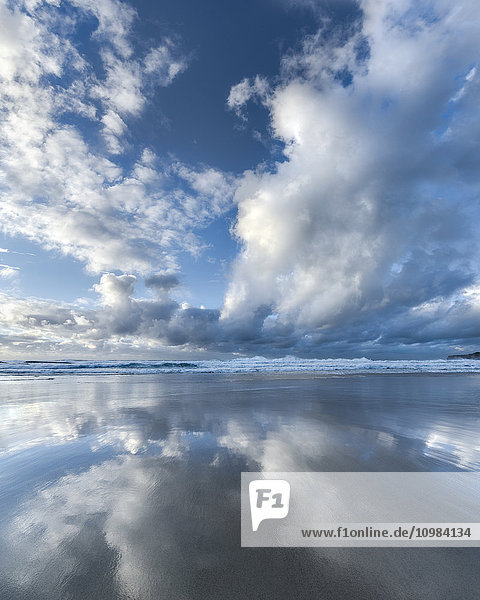 Australien  New South Wales  Sydney  Tasmanische See  Strand und Wolken  gespiegelt