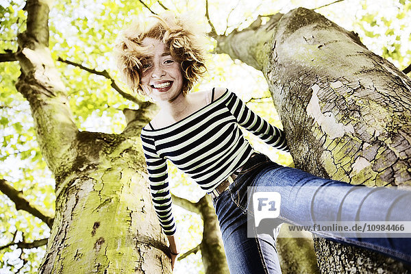 Lächelndes Mädchen klettert auf einen Baum