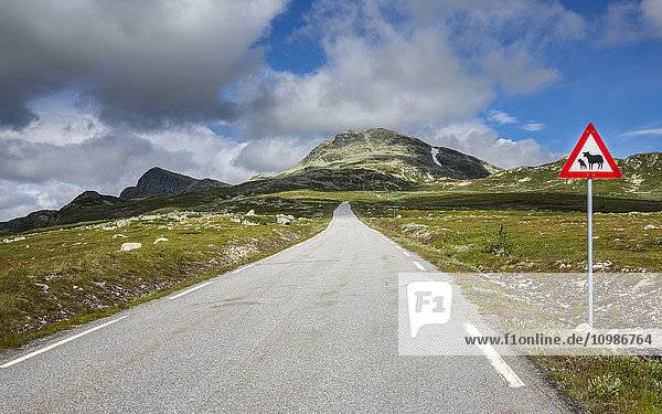 Norwegen  Südnorwegen  Telemark  Hjartdal  leere Straße
